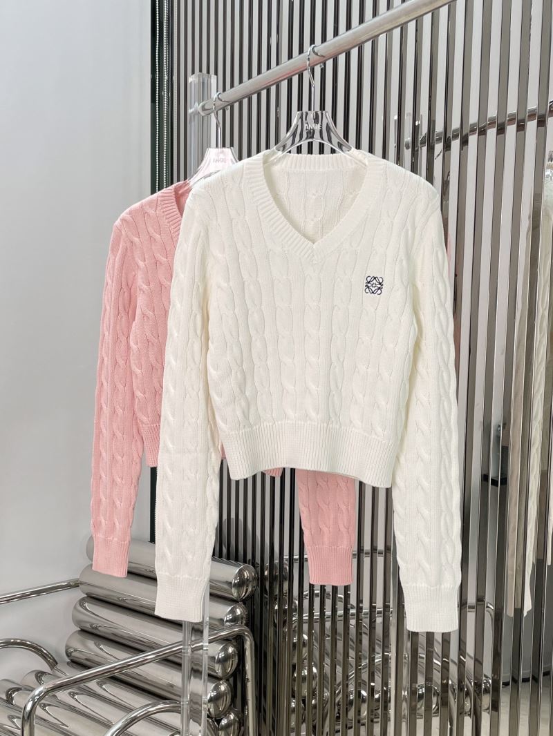 Loewe Sweaters